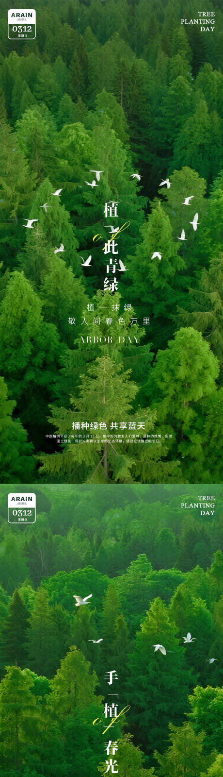 源文件下载【享设计】搜索编号：28440035600945068【植树节森林飞鸟摄影海报】