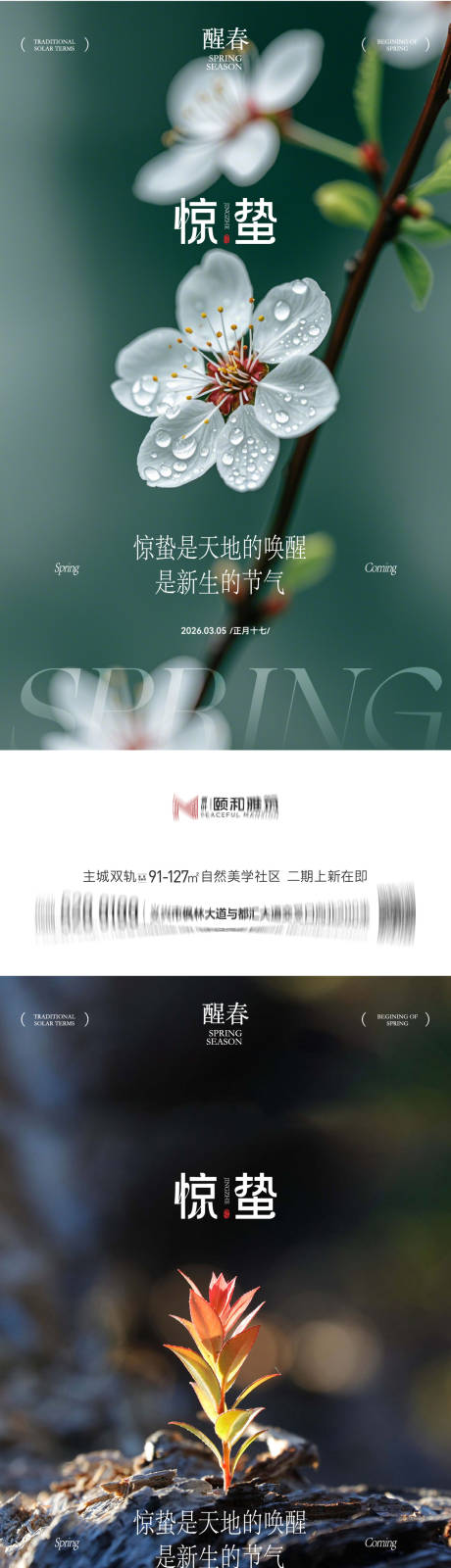 源文件下载【享设计】搜索编号：46590035599677860【惊蛰节气桃花梨花系列海报】