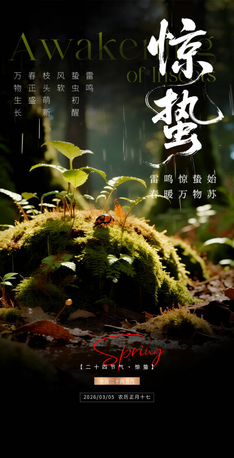 源文件下载【享设计】搜索编号：45650035657019727【惊蛰海报】