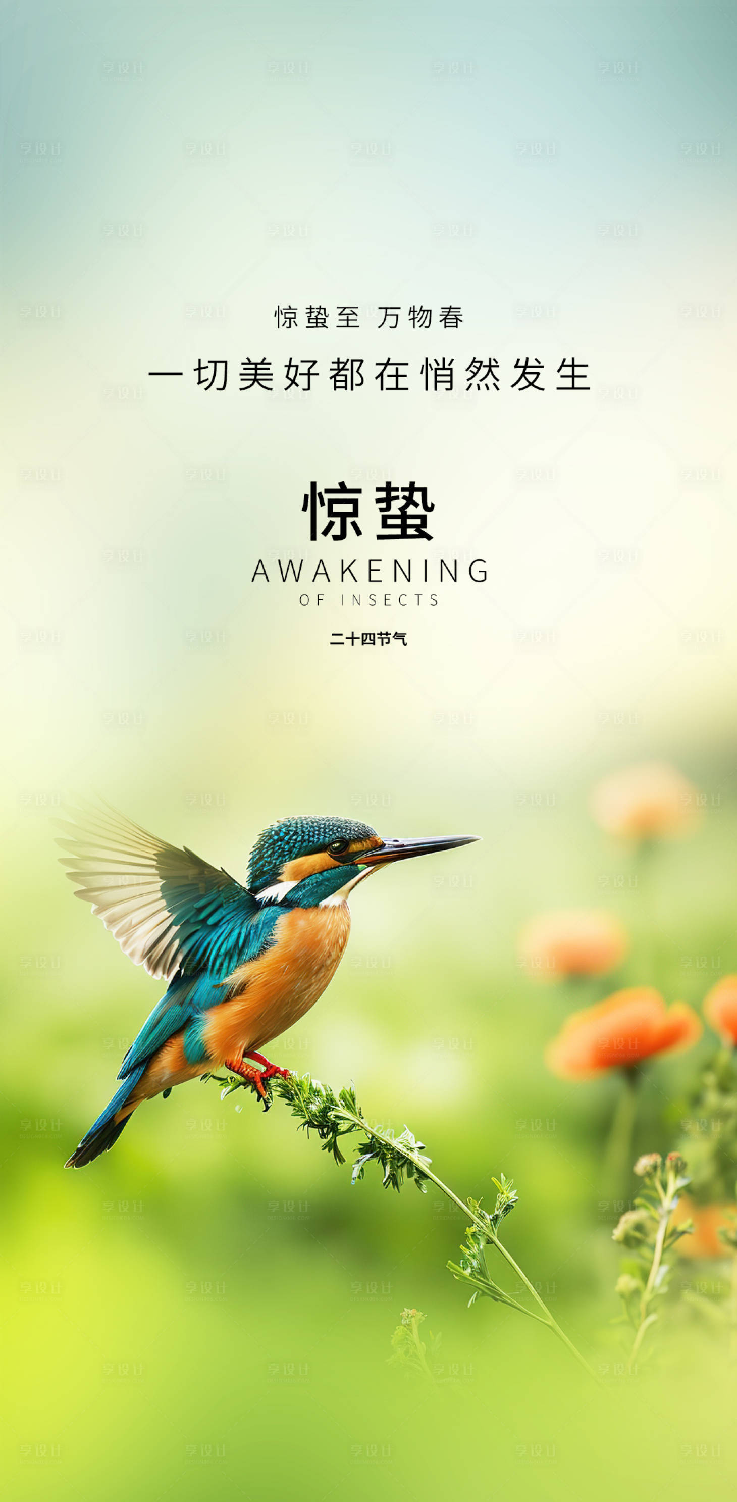 源文件下载【享设计】搜索编号：75840035618044110【惊蛰】