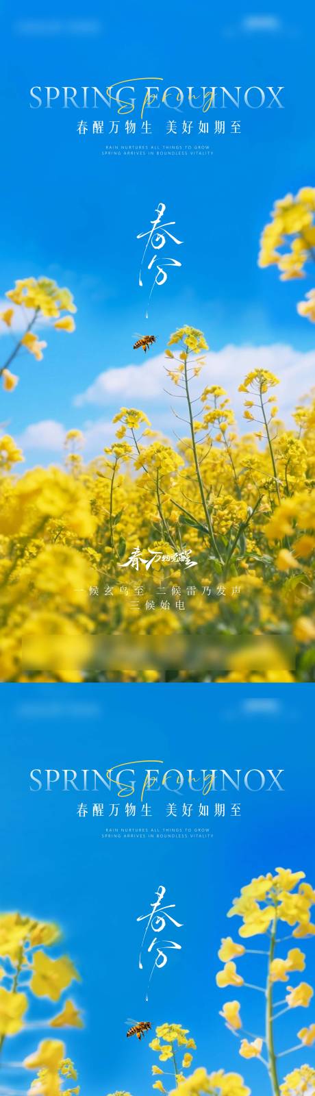 源文件下载【享设计】搜索编号：61730035937357159【春分节气海报】