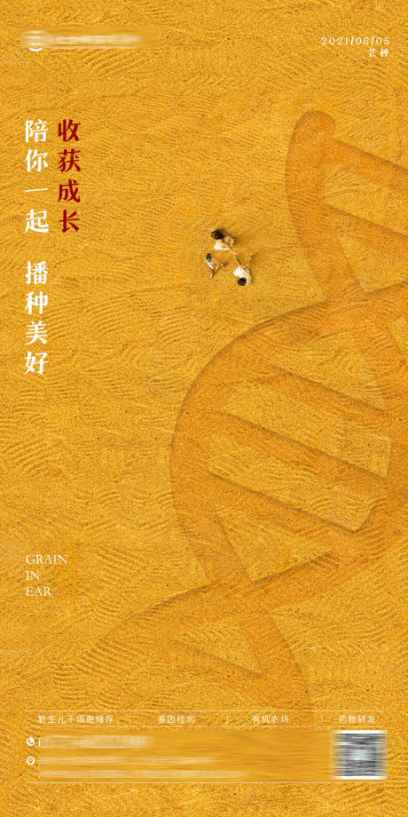 源文件下载【享设计】搜索编号：47530035826465041【医疗大健康基因新生儿孕妈芒种节气海报】