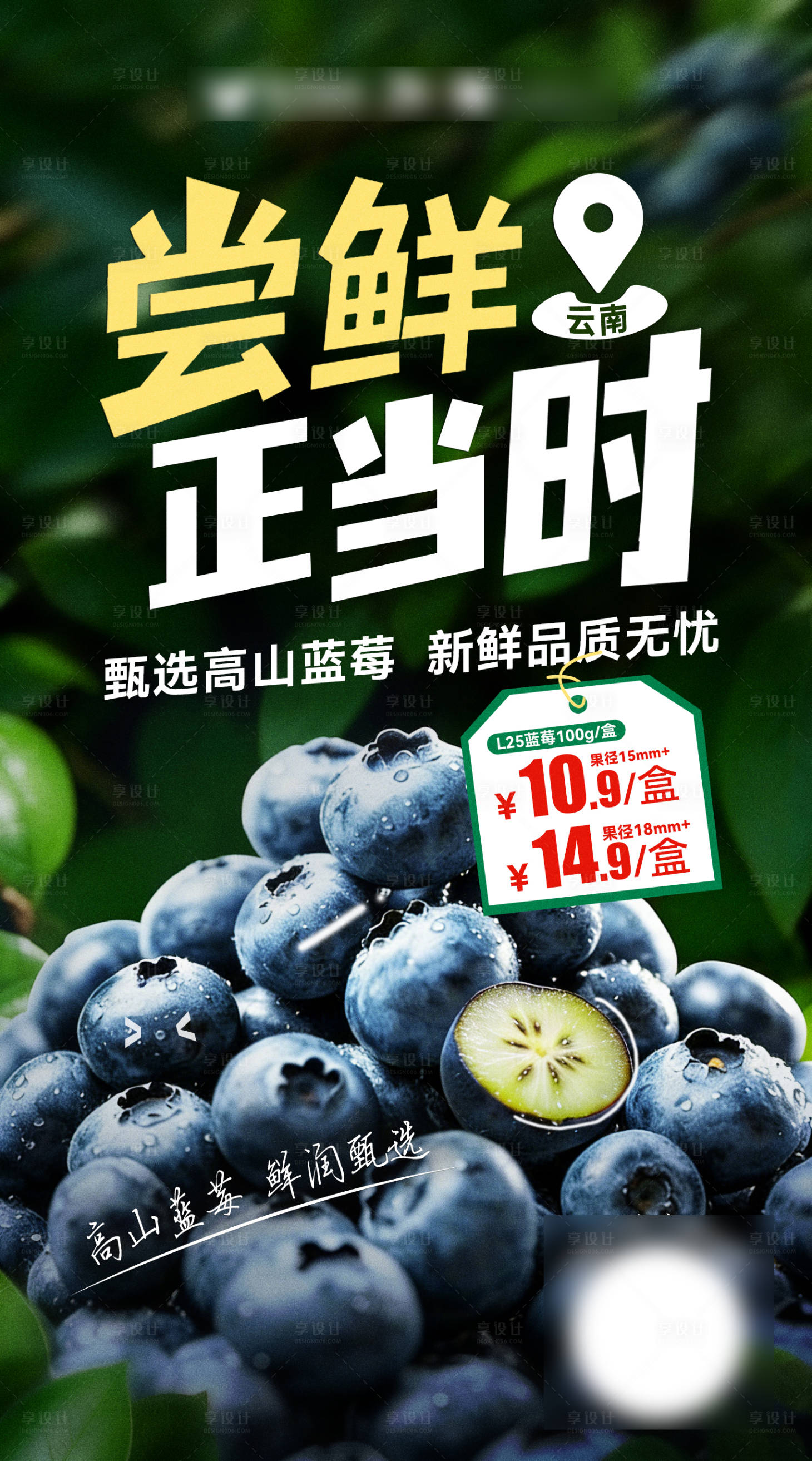 源文件下载【享设计】搜索编号：53400036059476019【水果蓝莓海报】