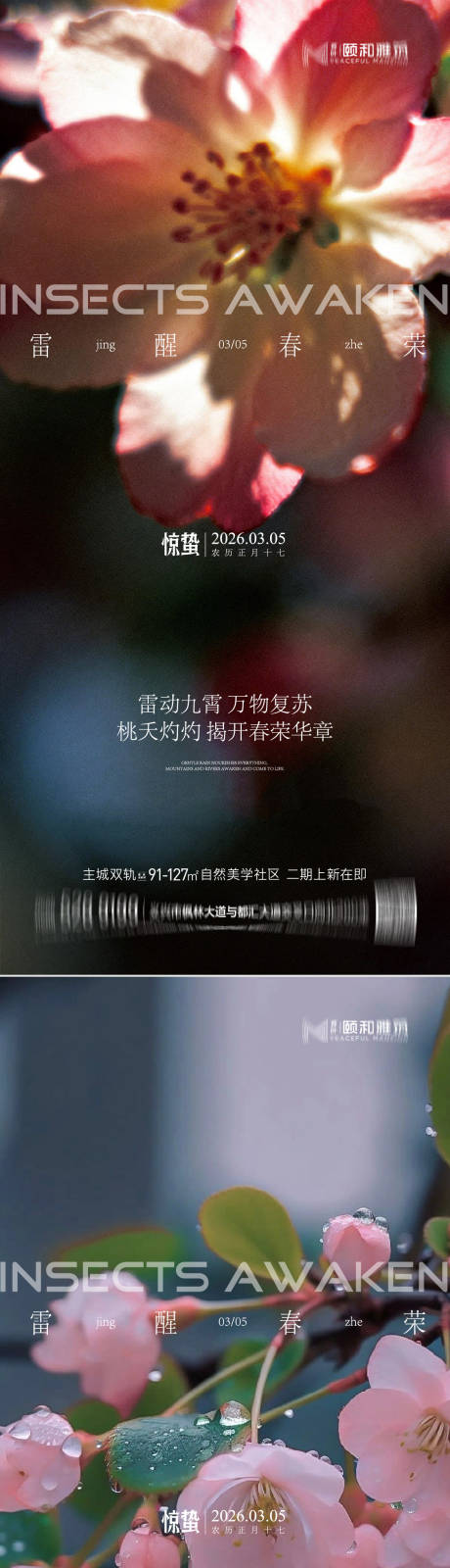 源文件下载【享设计】搜索编号：56730035599771614【惊蛰节气系列海报】