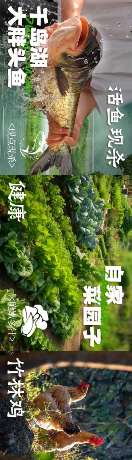 源文件下载【享设计】搜索编号：97090036551294984【山野风自然风食材大众点评商户通五连图】