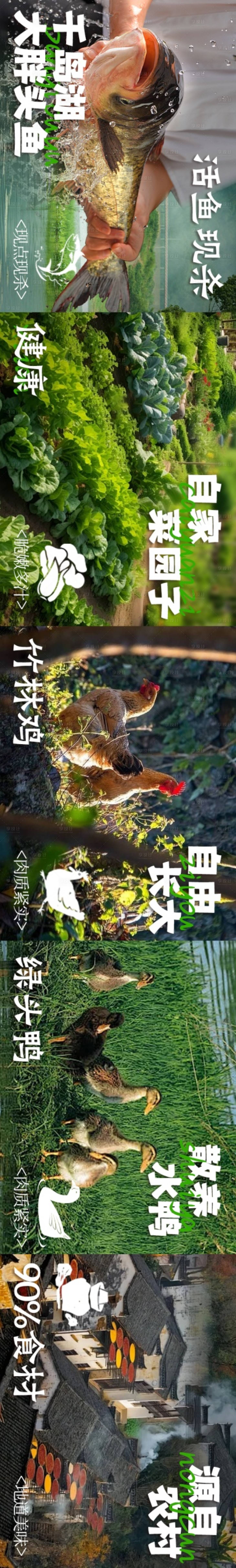 源文件下载【享设计】搜索编号：97090036551294984【山野风自然风食材大众点评商户通五连图】