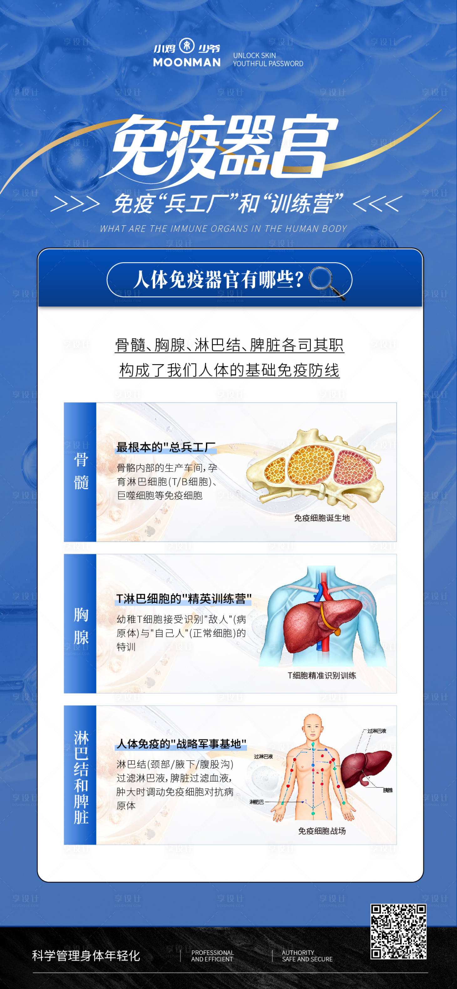 源文件下载【享设计】搜索编号：64800036319869704【免疫器官科普】