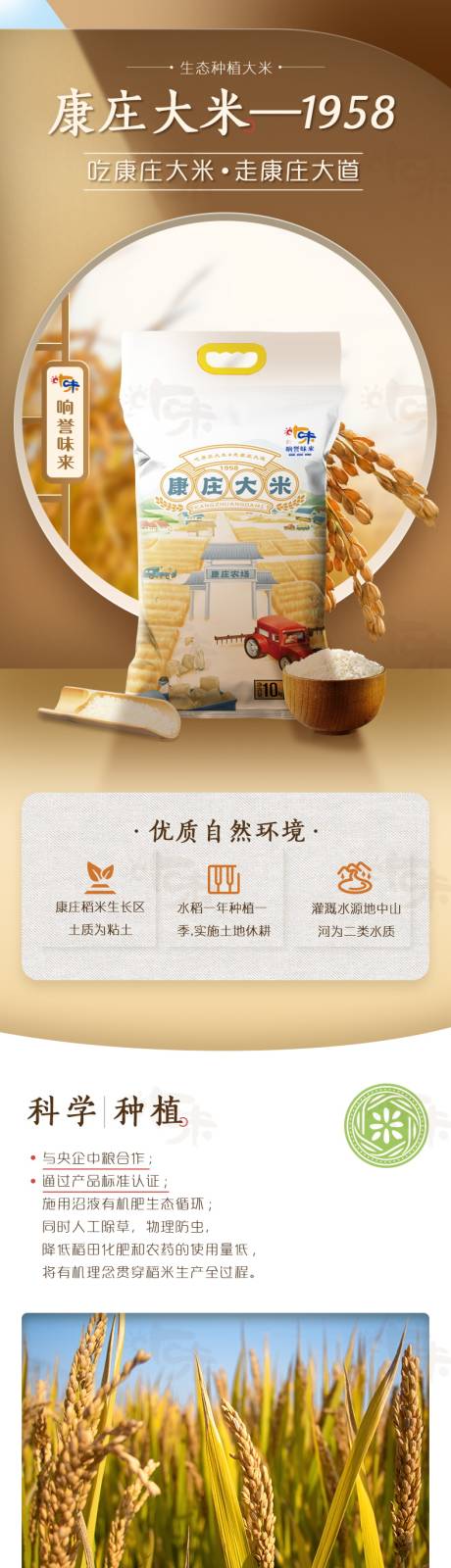 源文件下载【享设计】搜索编号：25720036368082771【电商大米长图详情页】