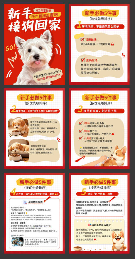 源文件下载【享设计】搜索编号：20860036475152091【宠物新手科普海报】