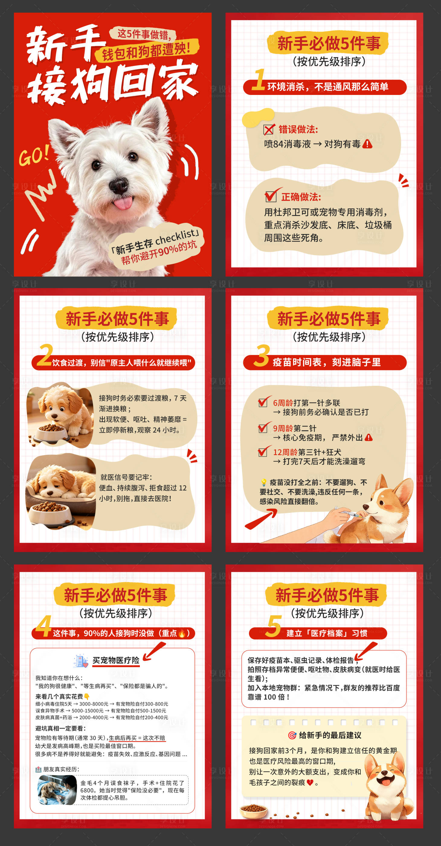 源文件下载【享设计】搜索编号：20860036475152091【宠物新手科普海报】