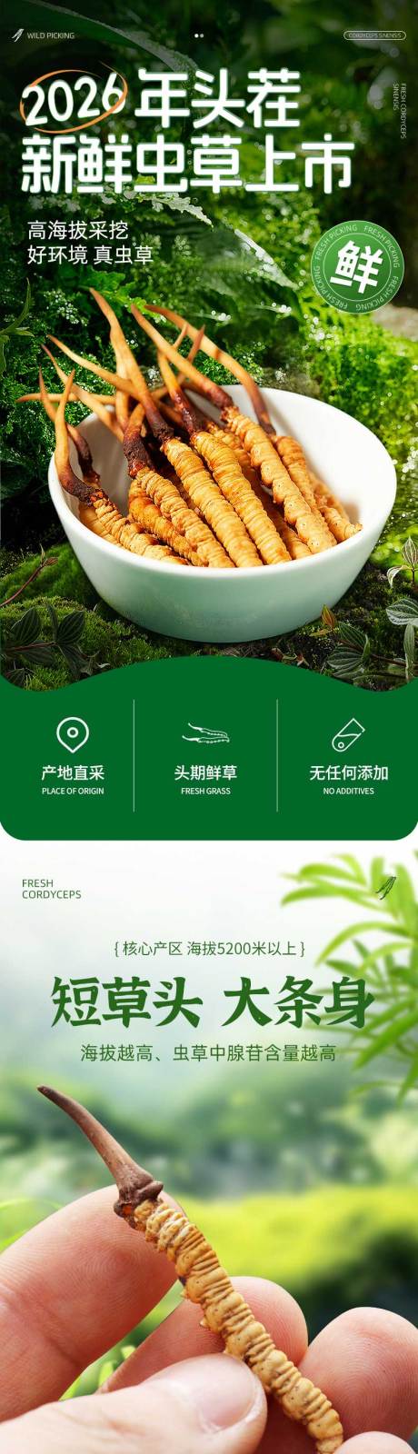源文件下载【享设计】搜索编号：32470036441512078【冬虫夏草详情页】