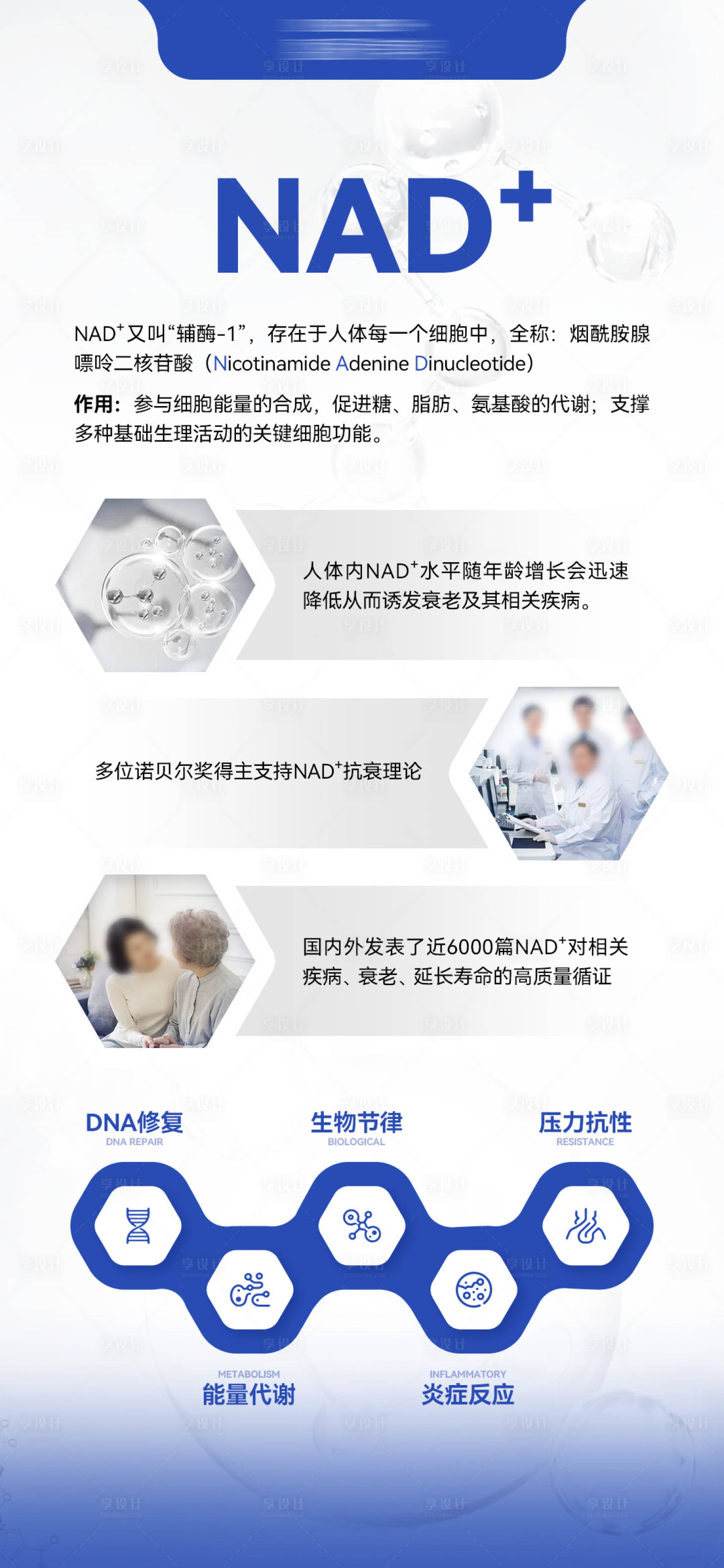 源文件下载【享设计】搜索编号：87170036543418397【NAD+科普海报】