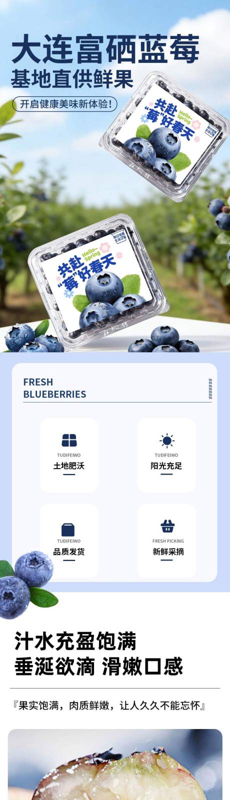 源文件下载【享设计】搜索编号：77130036345853510【蓝莓详情页】