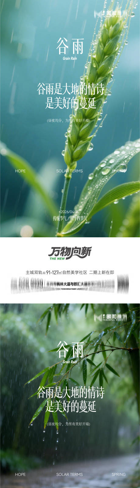 源文件下载【享设计】搜索编号：62640036373744823【谷雨节气节日海报】