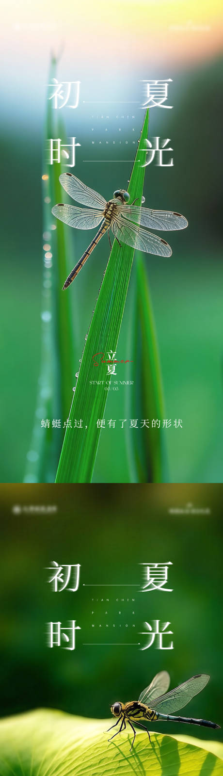 源文件下载【享设计】搜索编号：15340036525904937【立夏节气海报（文字可替换）】