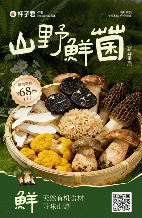 源文件下载【享设计】搜索编号：63610036225279177【山野菌菇海报】