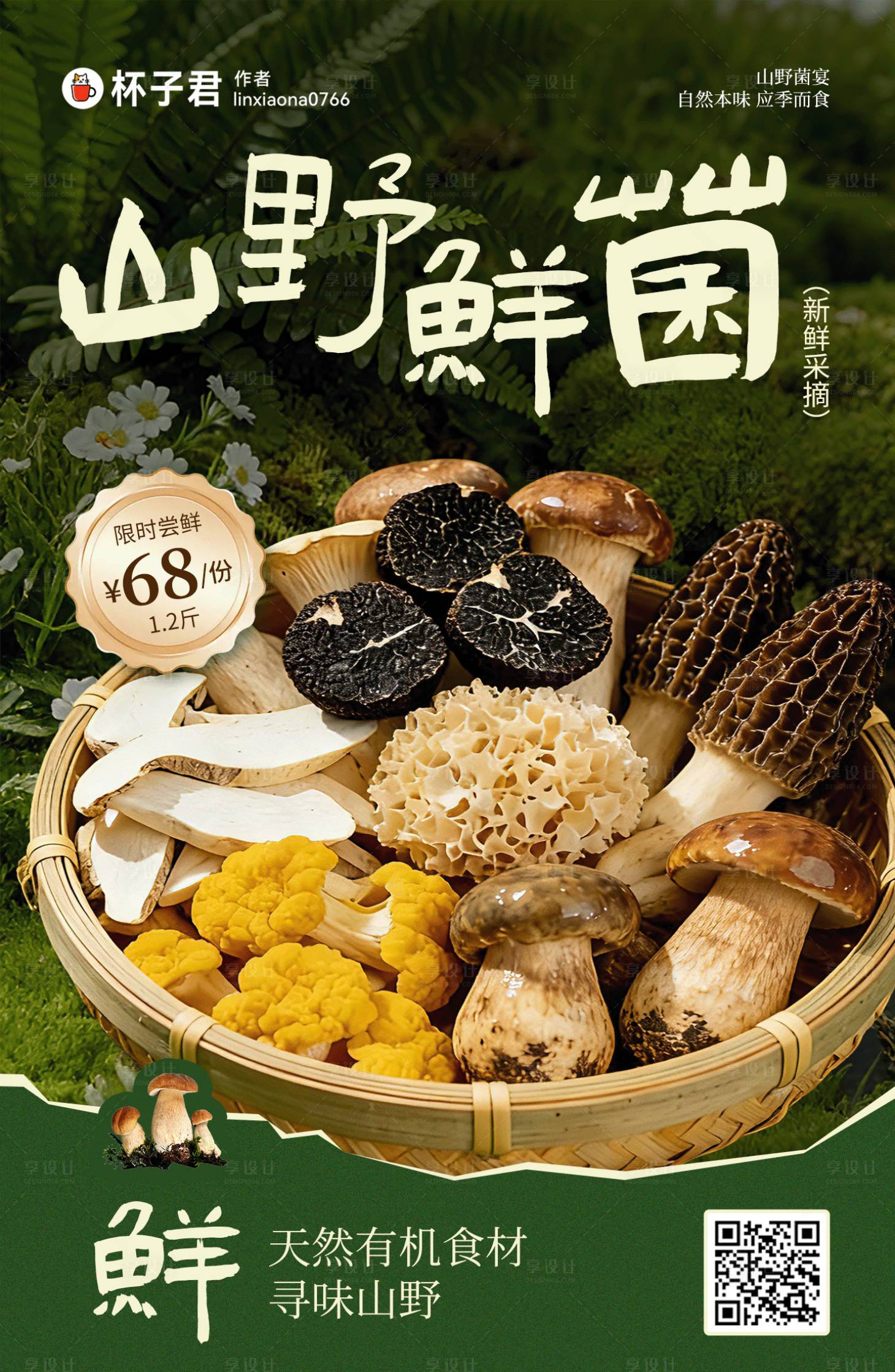 源文件下载【享设计】搜索编号：63610036225279177【山野菌菇海报】