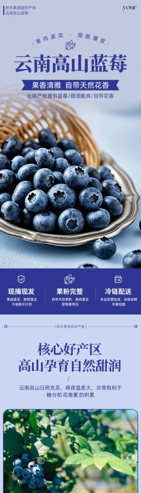 源文件下载【享设计】搜索编号：66160036174371436【水果蓝莓详情页】