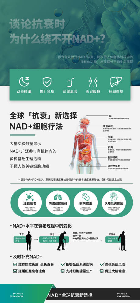 源文件下载【享设计】搜索编号：10320036282335767【NAD+宣传科普推广】