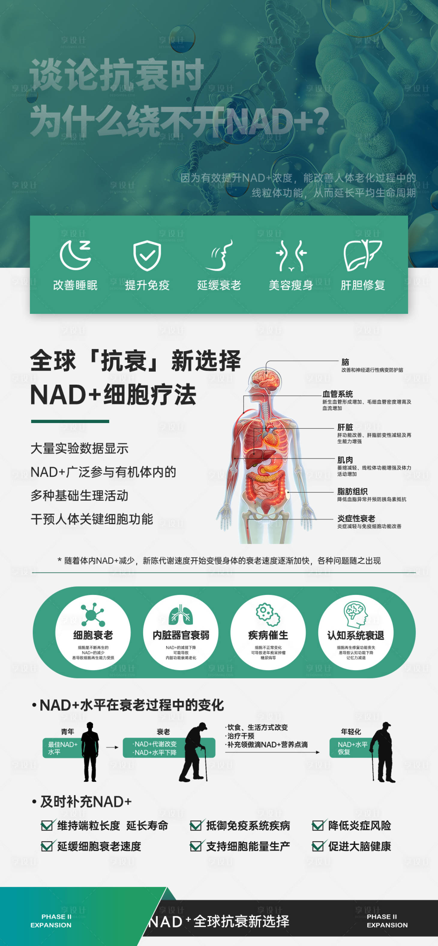 源文件下载【享设计】搜索编号：10320036282335767【NAD+宣传科普推广】
