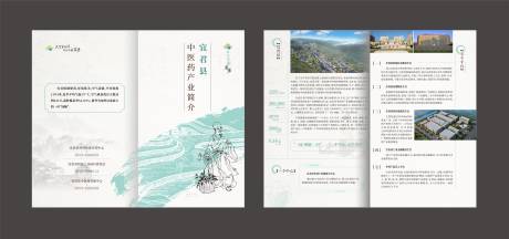 源文件下载【享设计】搜索编号：62070036515438401【陕西铜川中医药折页】