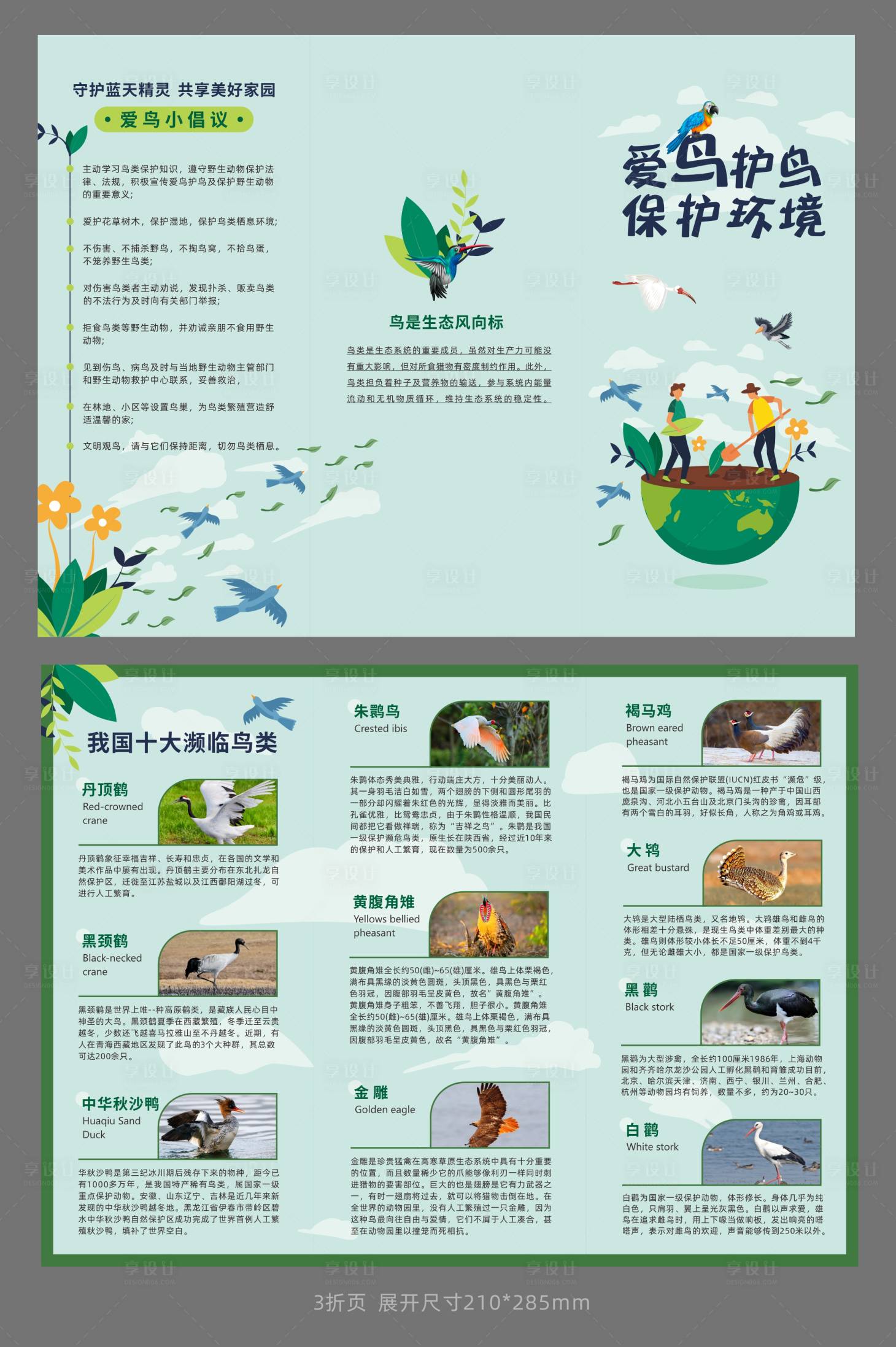 源文件下载【享设计】搜索编号：30240036582027935【爱护鸟类环境三折页】