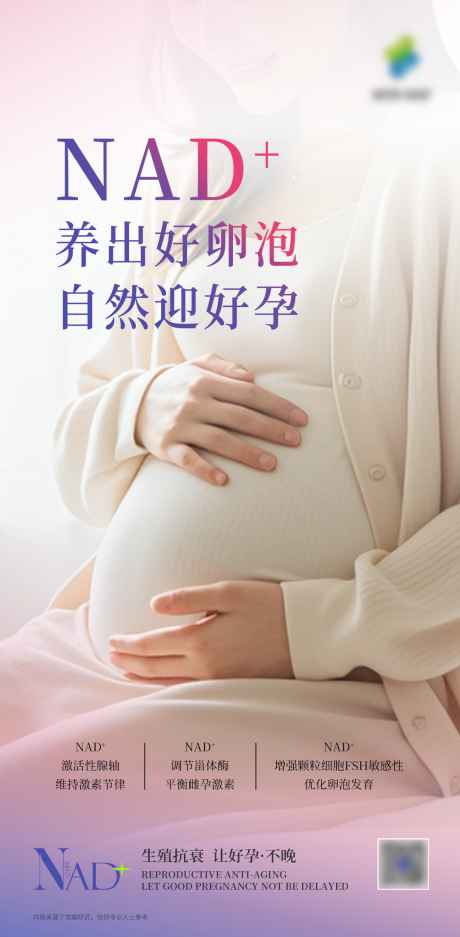 源文件下载【享设计】搜索编号：56710036500722976【品宣海报】