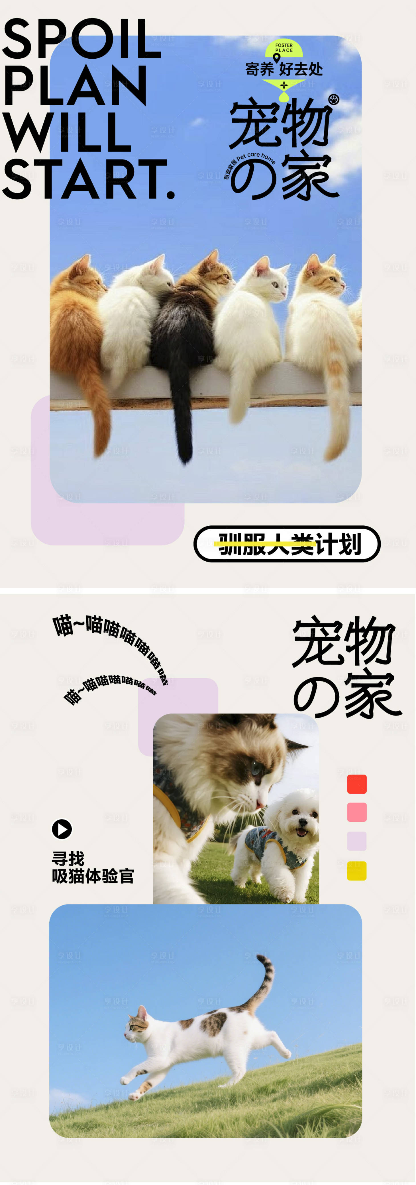 源文件下载【享设计】搜索编号：91730036507899732【宠物宣传海报】