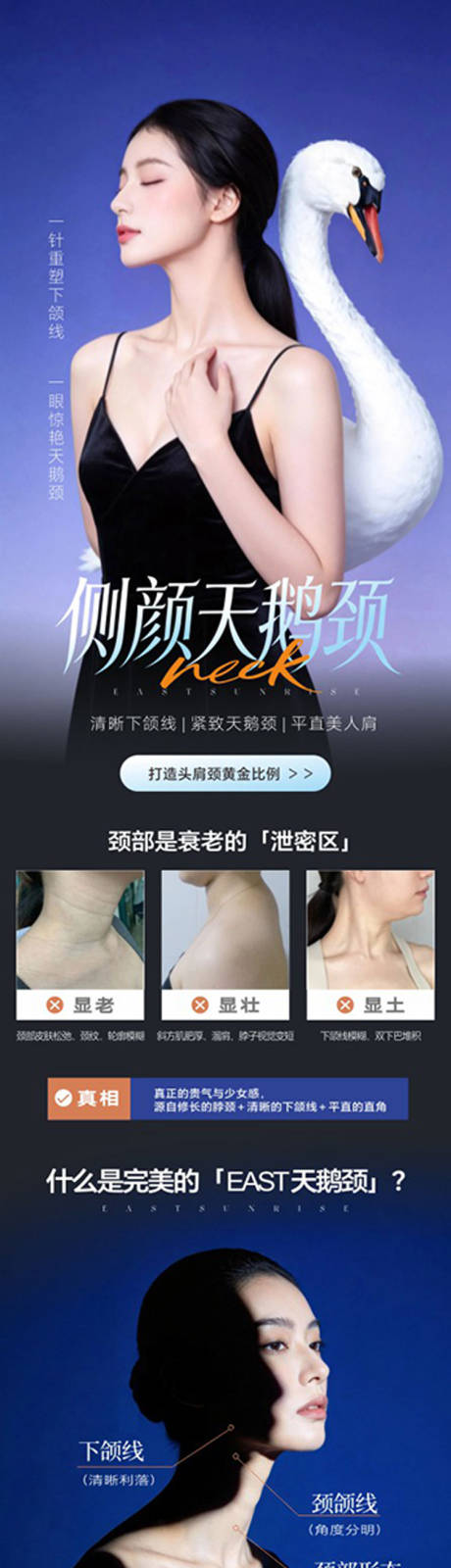 源文件下载【享设计】搜索编号：64950036246383402【侧颜天鹅颈】