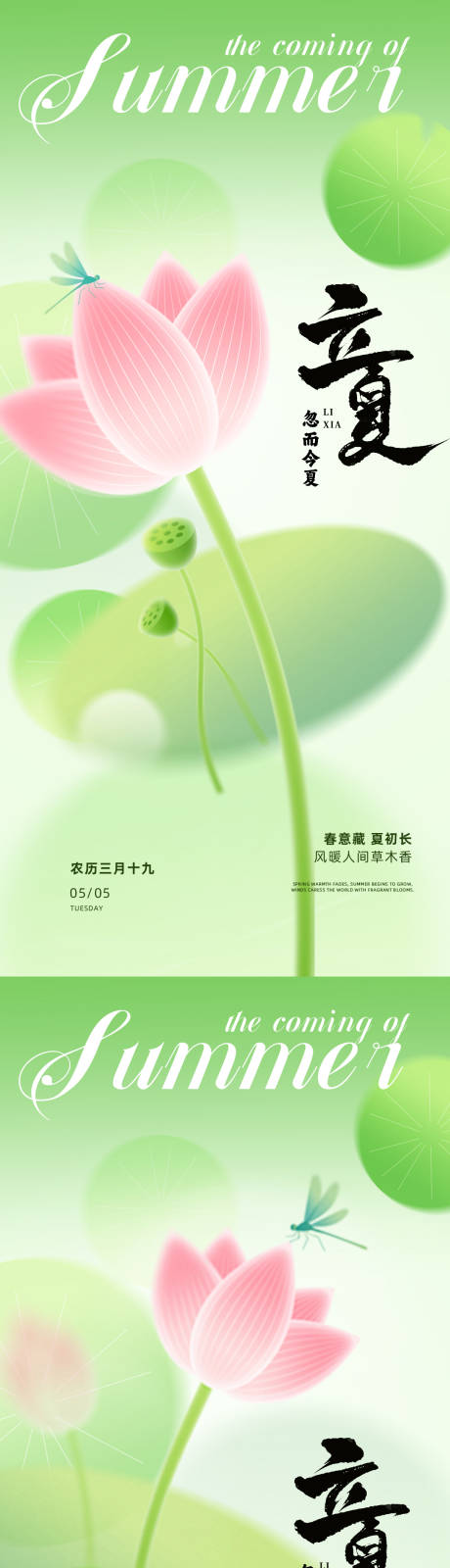 源文件下载【享设计】搜索编号：16110036519918116【立夏荷花古风海报】