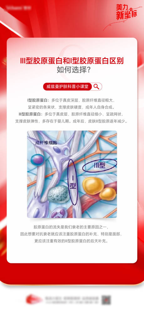 源文件下载【享设计】搜索编号：97240036542277373【胶原蛋白科普】
