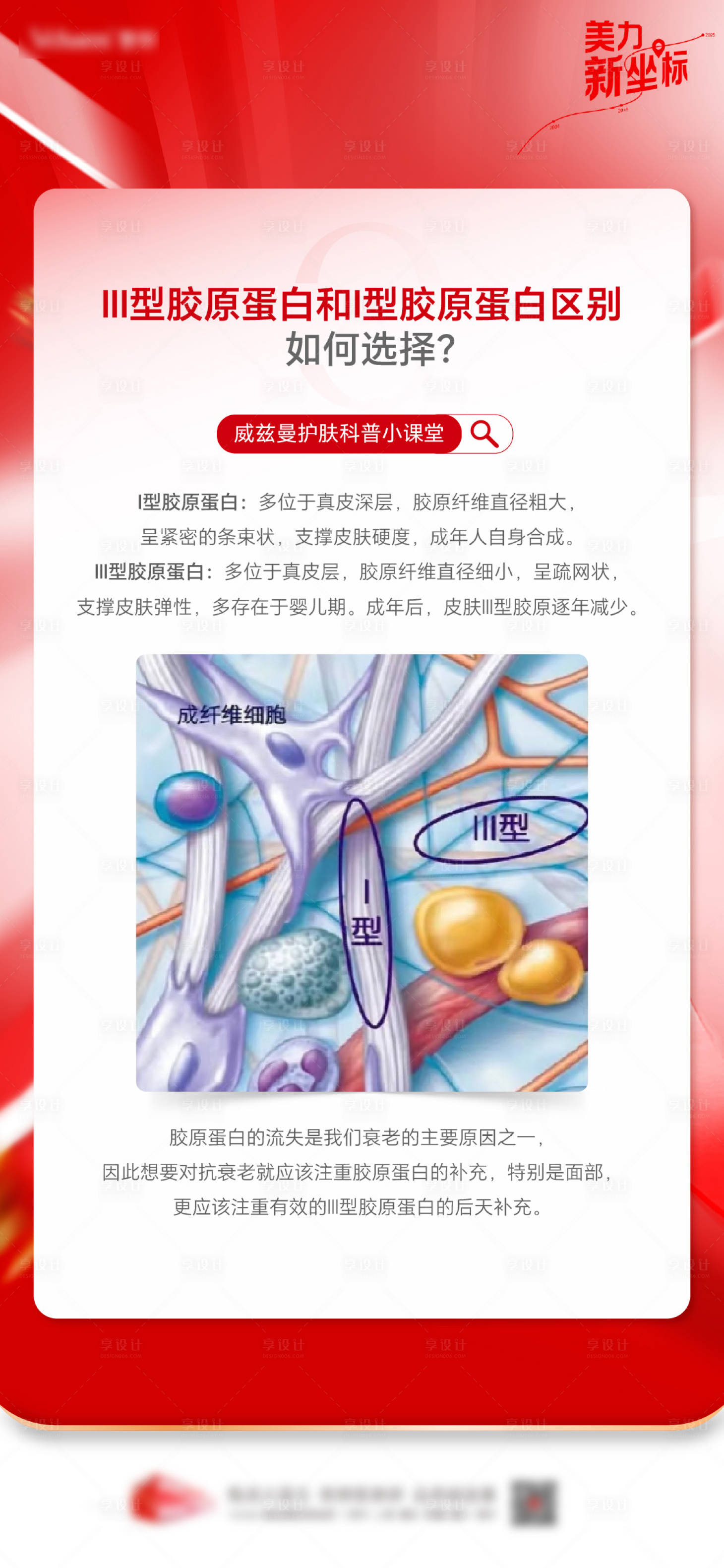 源文件下载【享设计】搜索编号：97240036542277373【胶原蛋白科普】