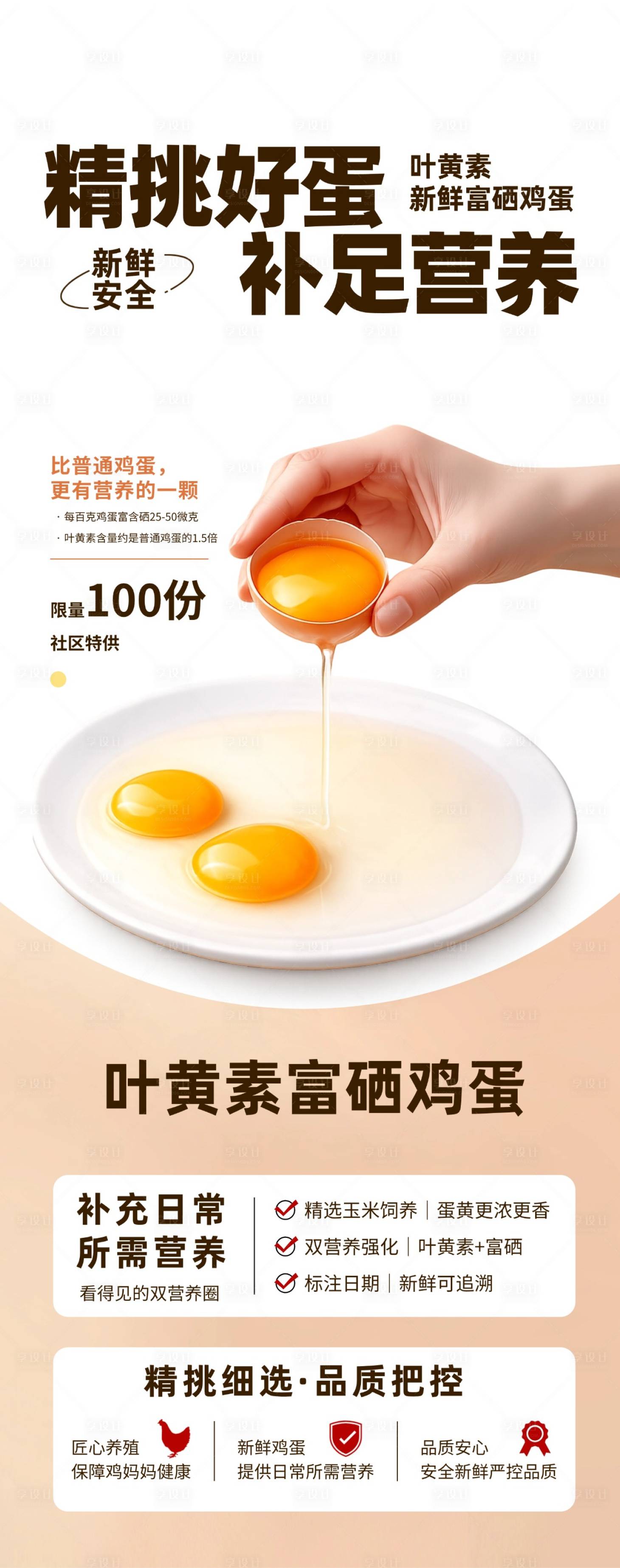 源文件下载【享设计】搜索编号：26120036378455042【叶黄素富硒鸡蛋】