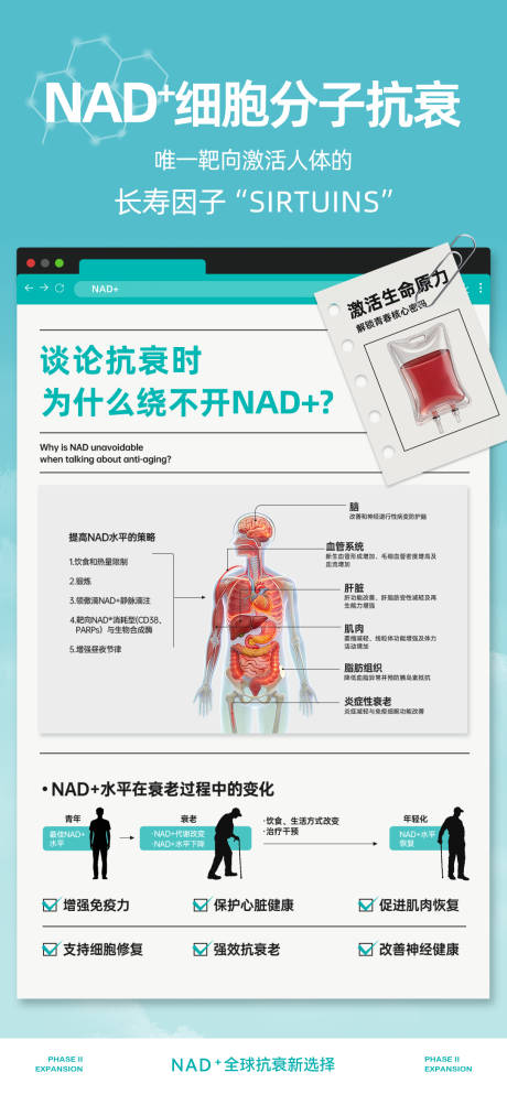 源文件下载【享设计】搜索编号：51400036282322912【NAD+宣传推广】
