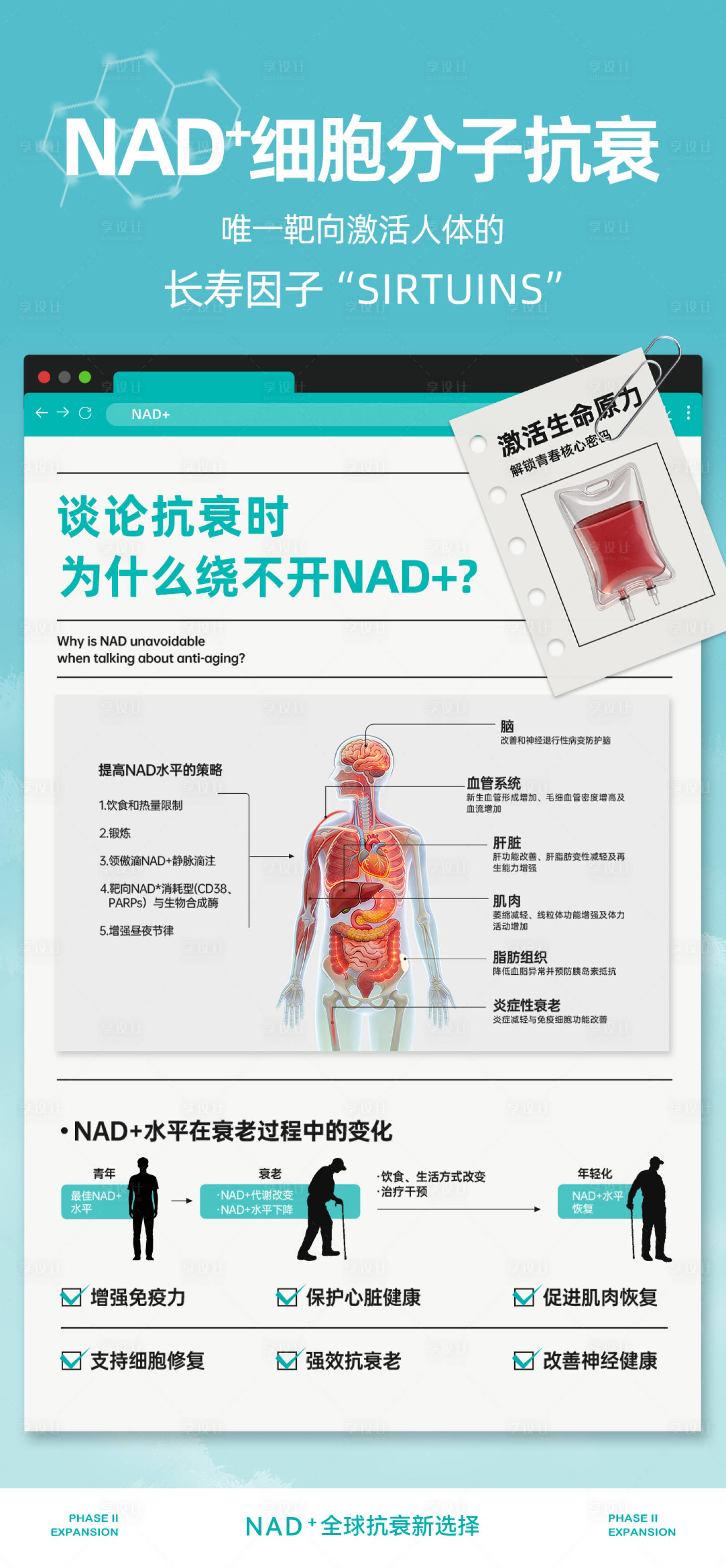 源文件下载【享设计】搜索编号：51400036282322912【NAD+宣传推广】