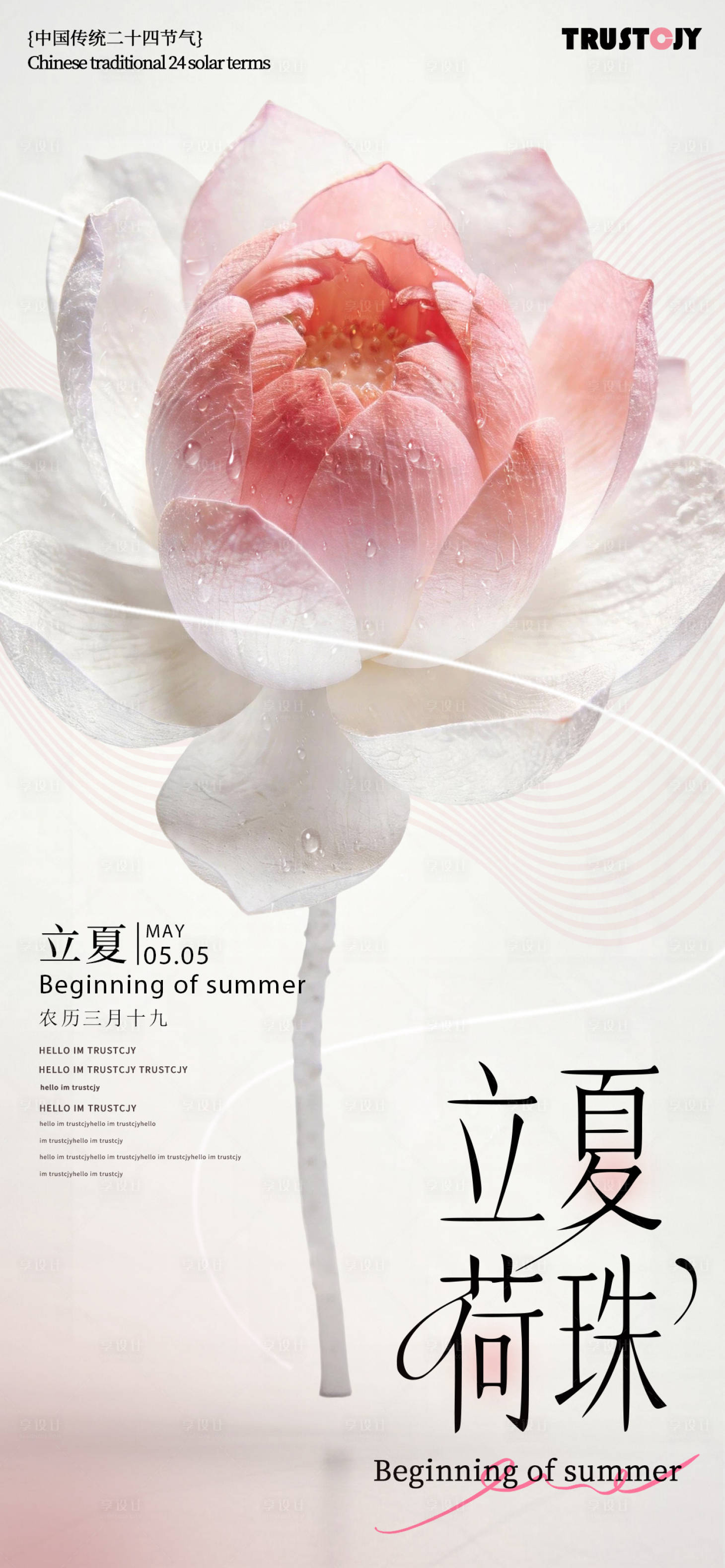 源文件下载【享设计】搜索编号：98840036486802251【立夏荷花高级节气海报】
