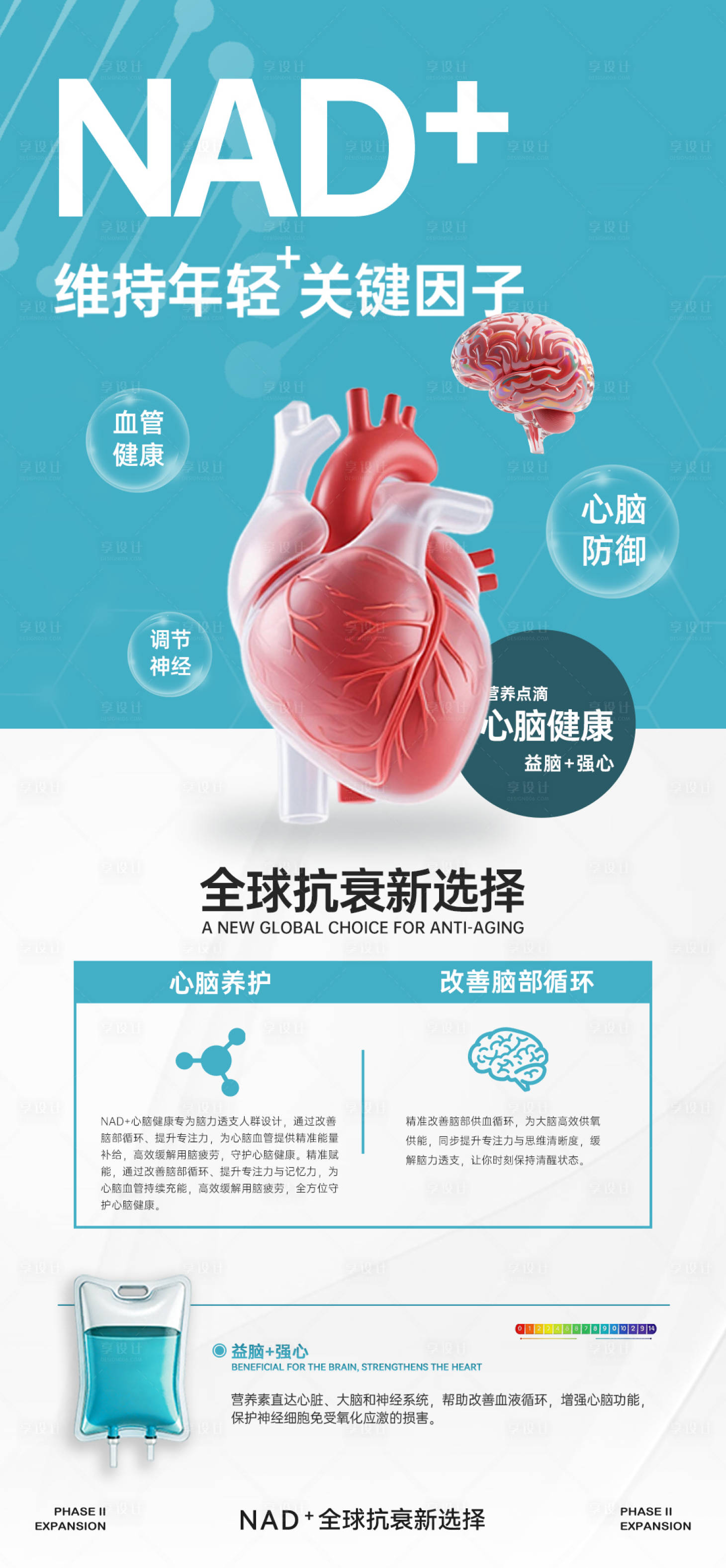源文件下载【享设计】搜索编号：25360036405371712【NAD+心脑健康推广图】
