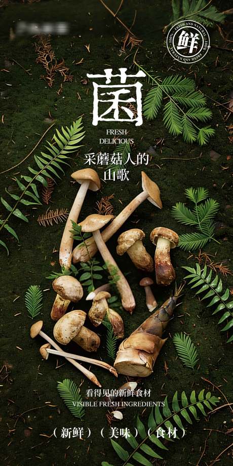 源文件下载【享设计】搜索编号：41680036303484137【菌子海报】