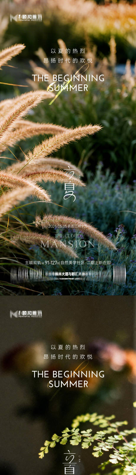 源文件下载【享设计】搜索编号：84900036631162942【立夏海报】