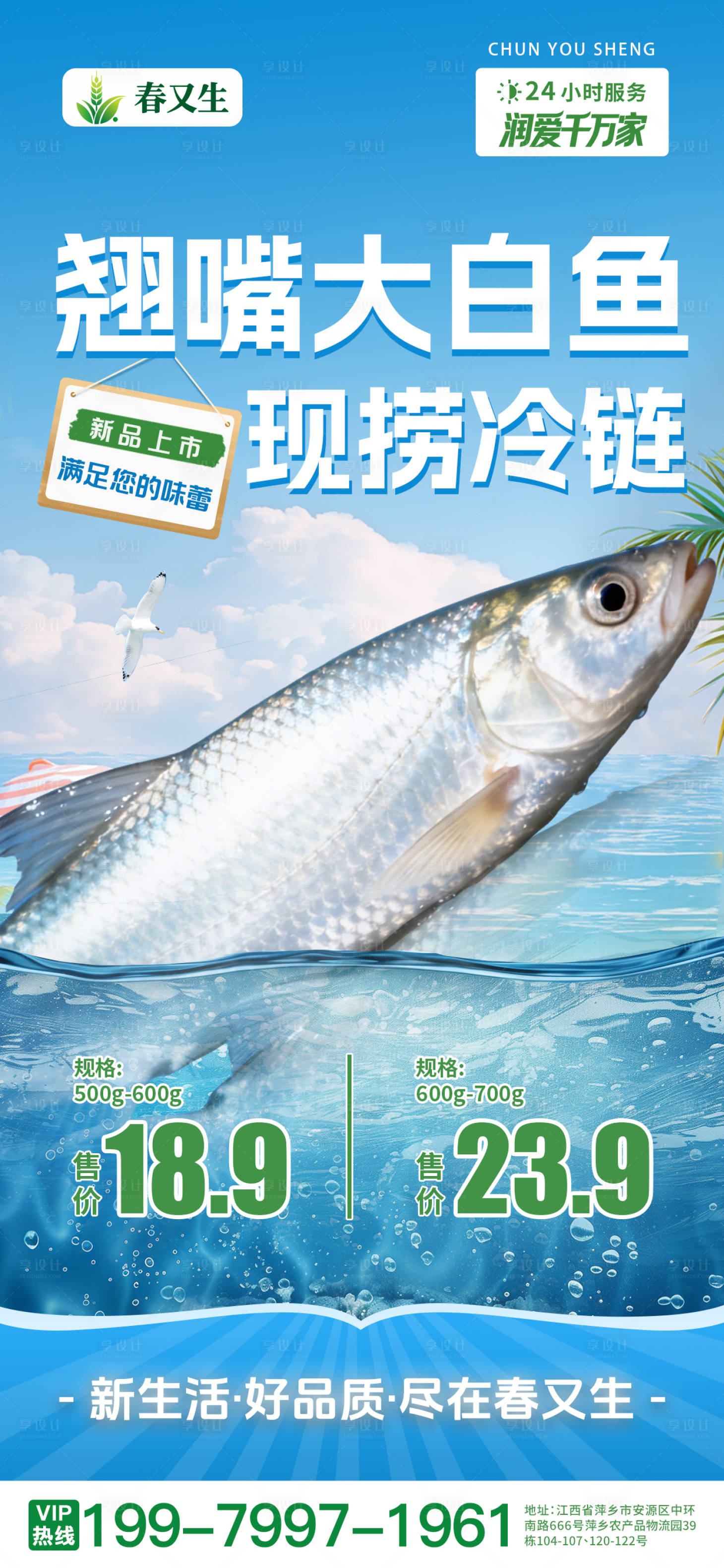 源文件下载【享设计】搜索编号：67360036510748190【白叼鱼海报】