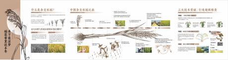 源文件下载【享设计】搜索编号：61270036409319355【杂交水稻 】
