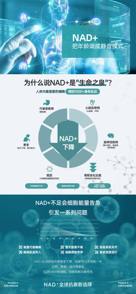 源文件下载【享设计】搜索编号：20150036304136170【NAD+科普每日推广图】