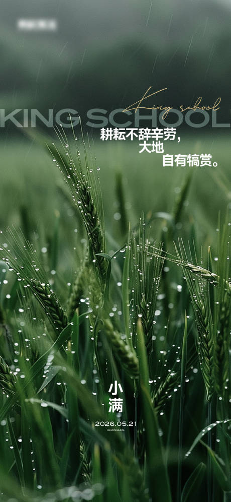源文件下载【享设计】搜索编号：80070036596482522【小满节气海报】