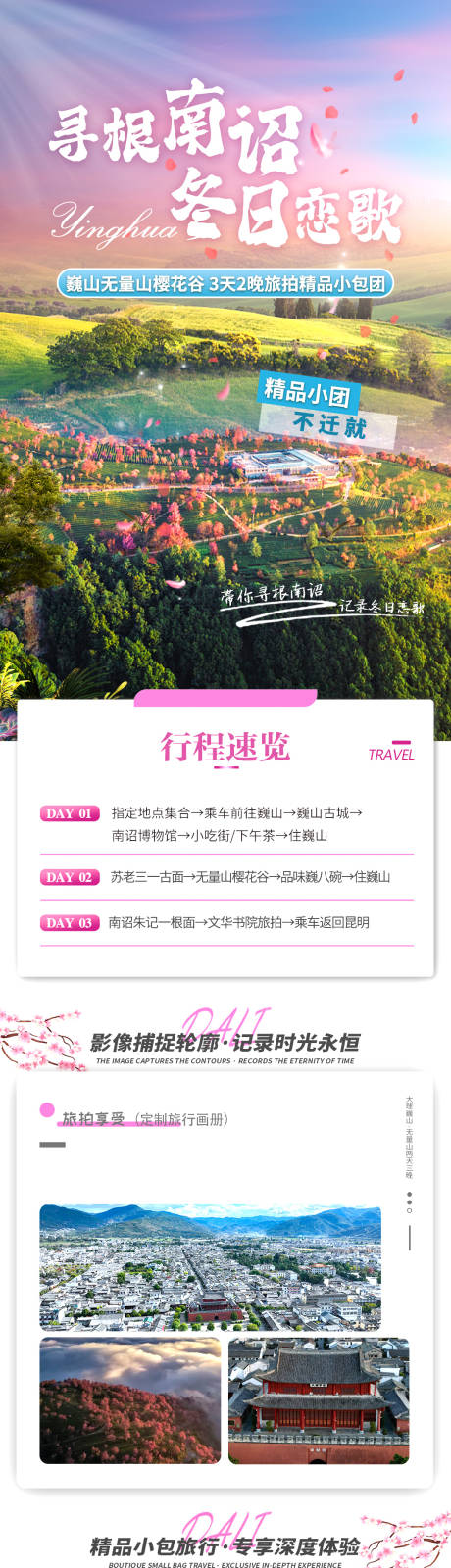 源文件下载【享设计】搜索编号：97470036279192830【昆明大理巍山樱花谷海报】