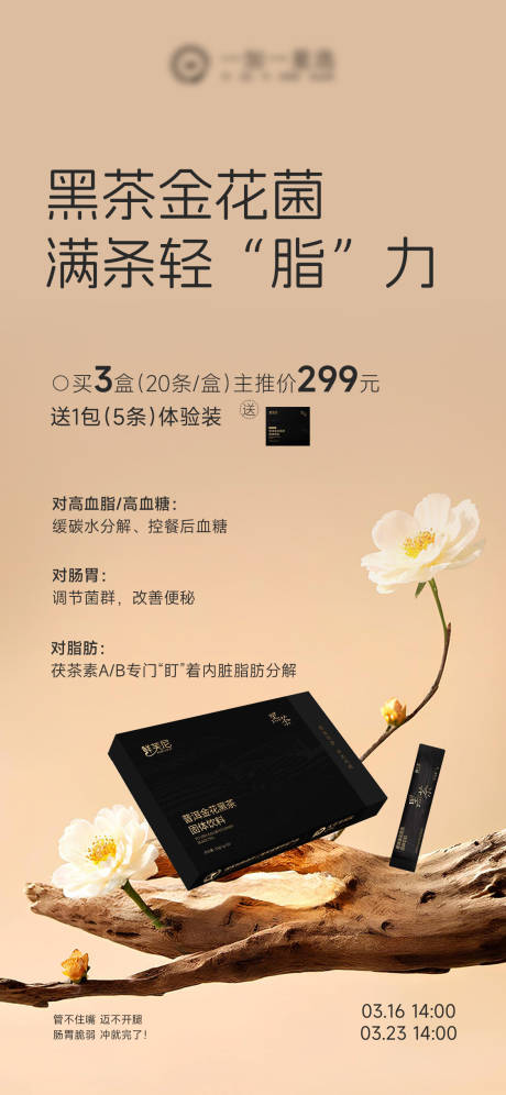 源文件下载【享设计】搜索编号：88220036163113682【黑茶茶饮产品海报】