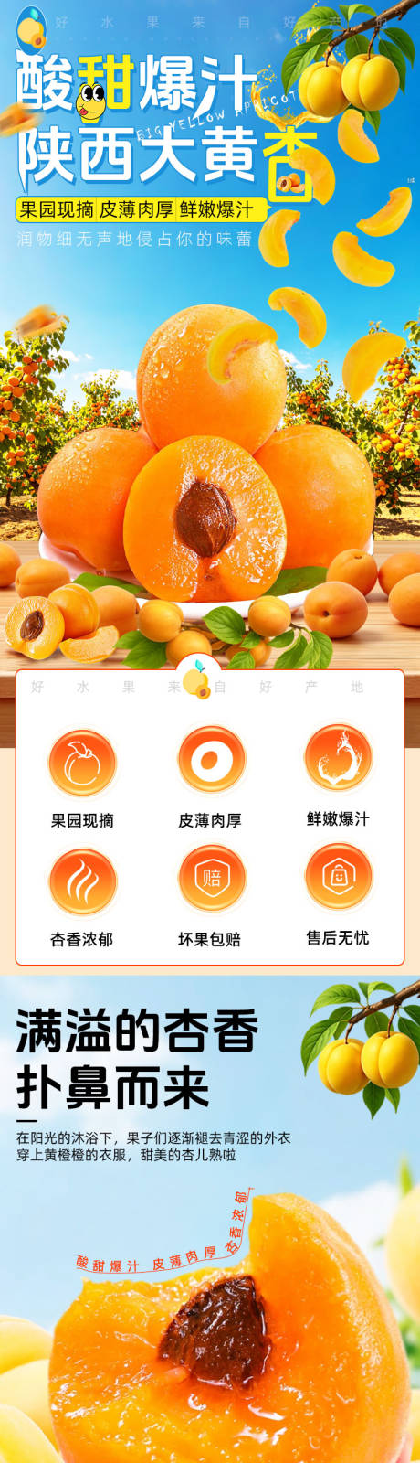 源文件下载【享设计】搜索编号：29140036556159153【陕西大黄杏】