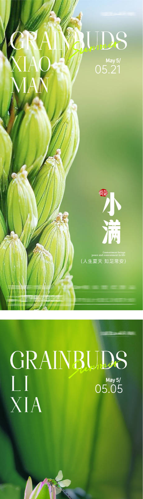 源文件下载【享设计】搜索编号：39570036529316558【地产立夏小满美学系海报】
