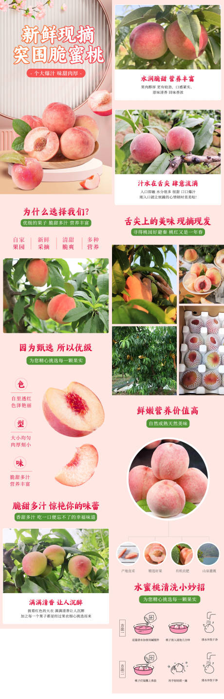 源文件下载【享设计】搜索编号：89850036192644001【水蜜桃水果详情页】
