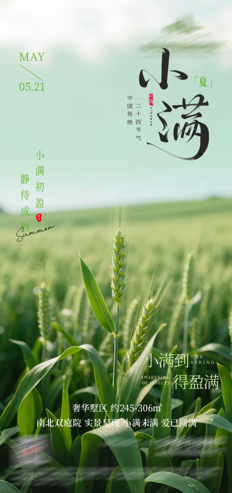 源文件下载【享设计】搜索编号：67520036329273559【小满节气海报】
