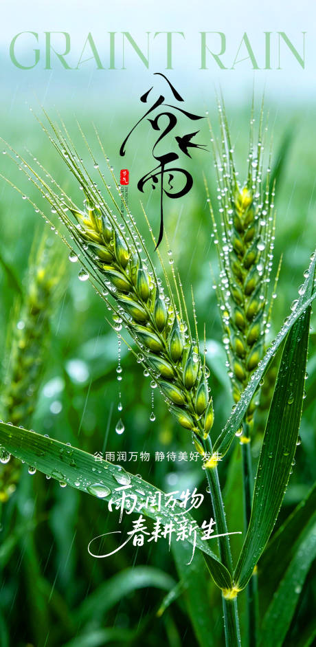 源文件下载【享设计】搜索编号：82600036416018609【创意海报24节气谷雨海报】